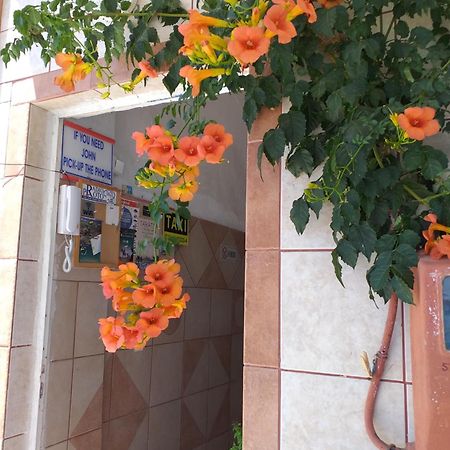 Ladikos Beach Hotel Kardamena  Exterior photo