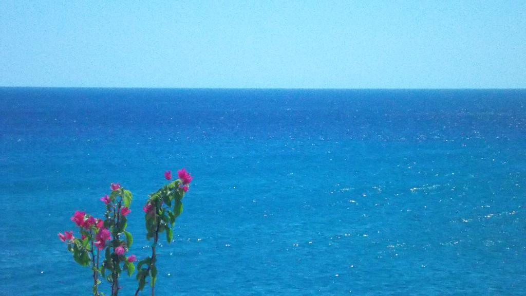 Ladikos Beach Hotel Kardamena  Room photo